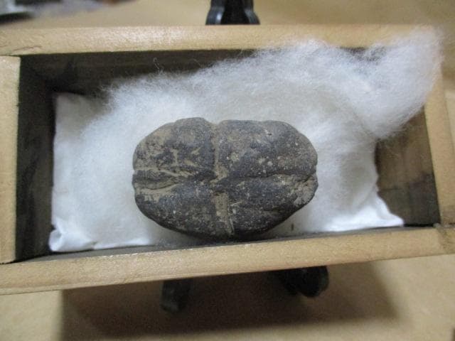 縄文土器　小動物？昆虫？珍品　箱付き　R99-2