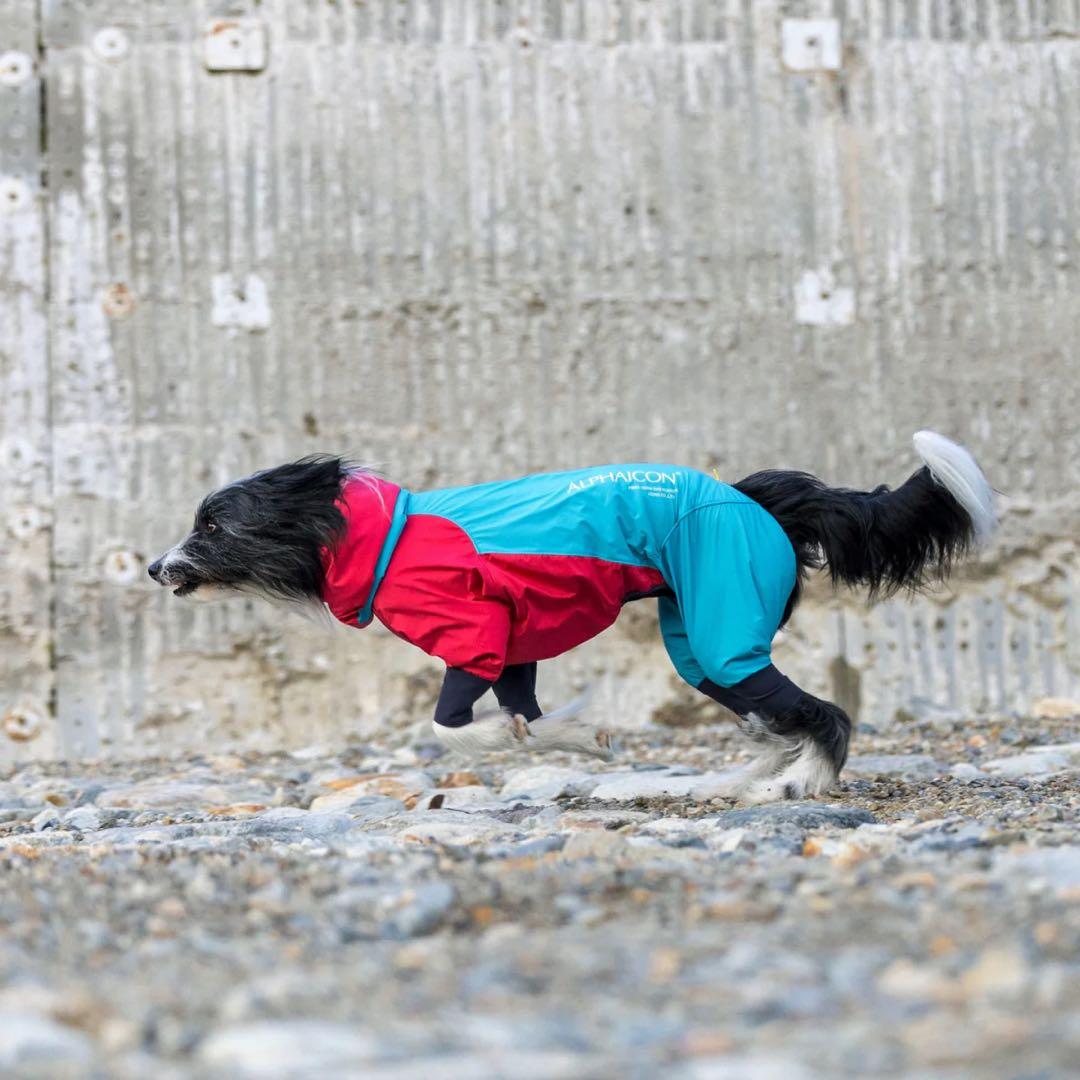 ALPHAICON 犬用レインコート 4L
