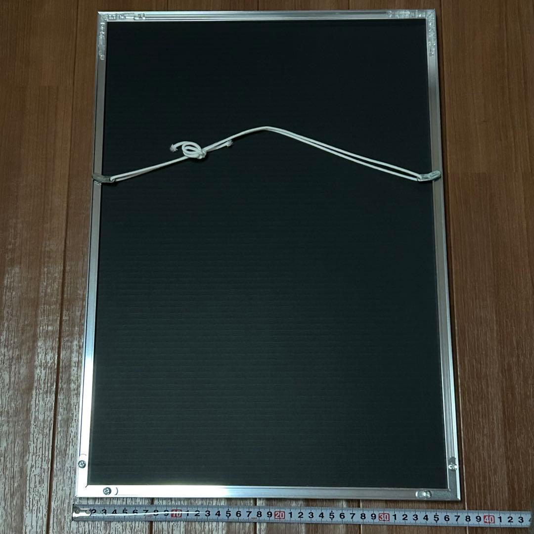 ヴァンパイア騎士 樋野まつり 若月佑美 直筆サイン入りポスター 懸賞 優姫 零