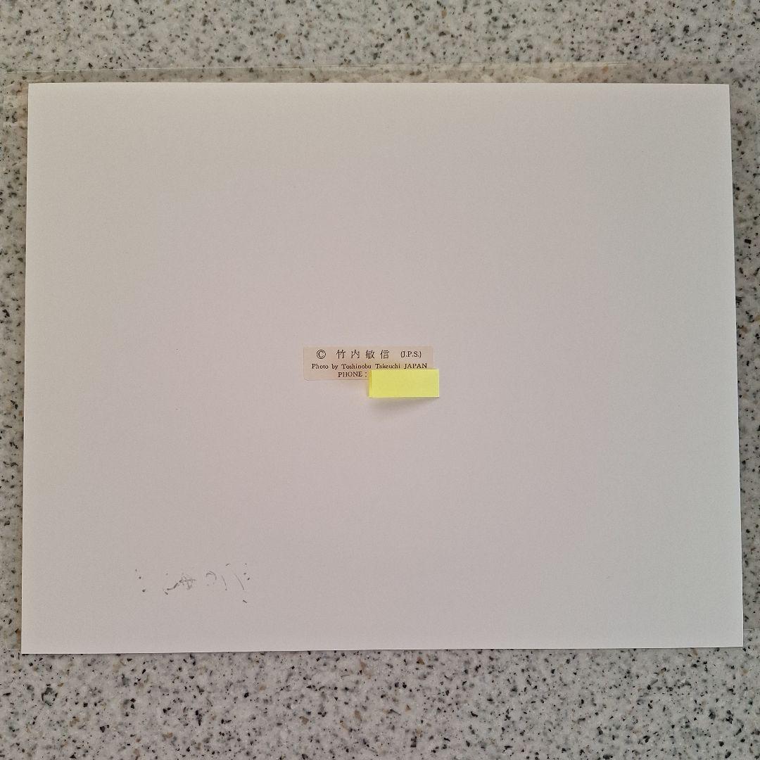 竹内敏信　風景写真　サイン入り