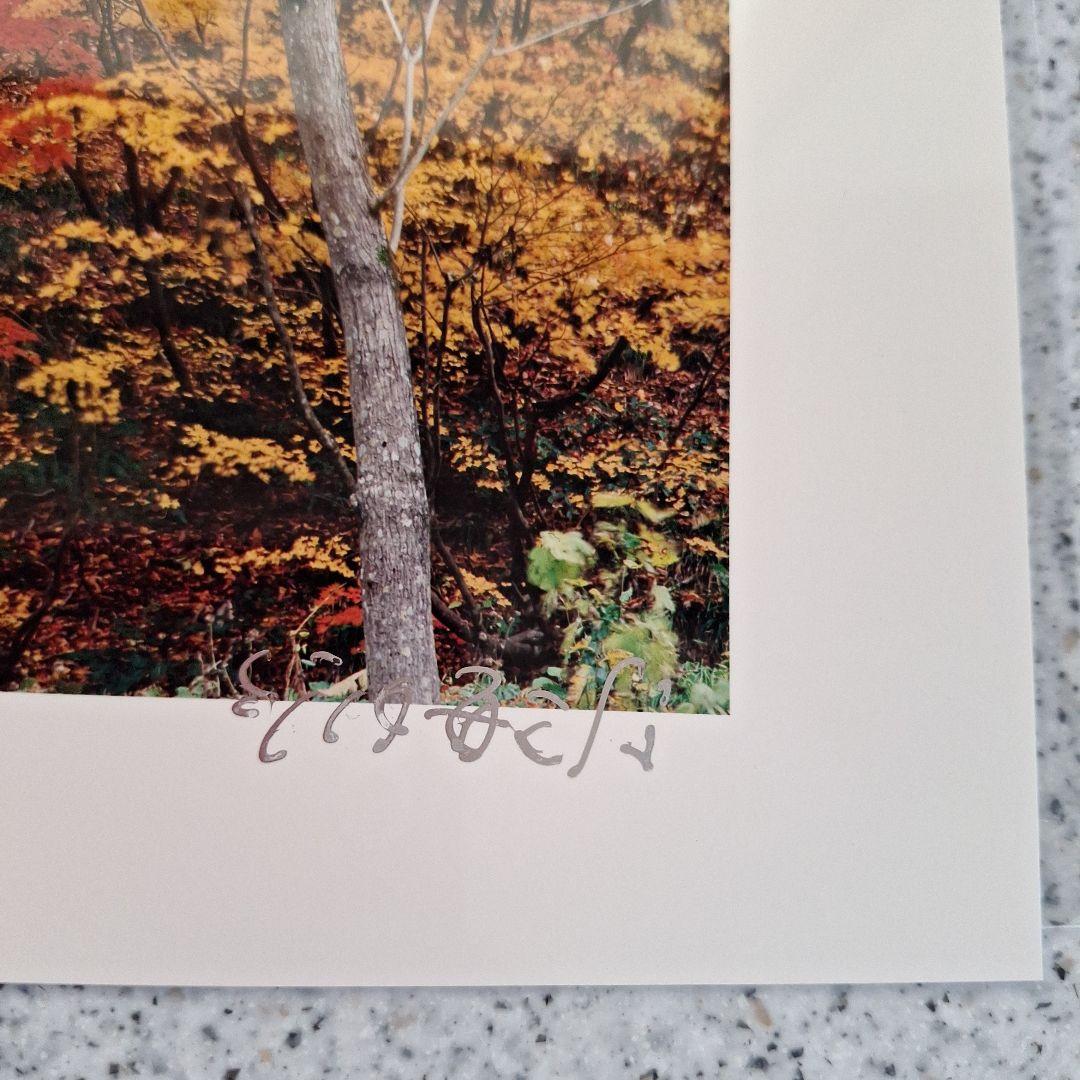 竹内敏信　風景写真　サイン入り