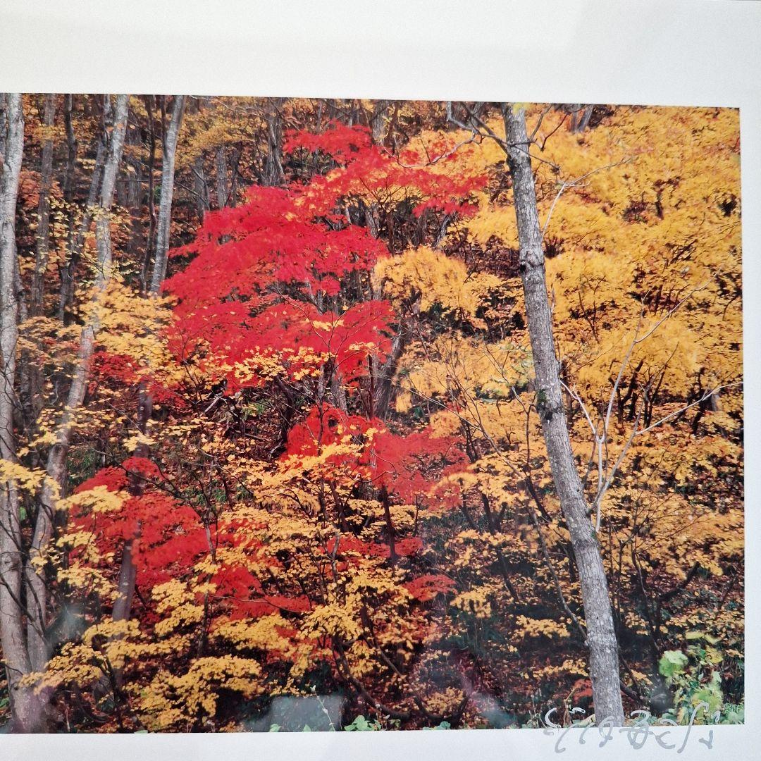 竹内敏信　風景写真　サイン入り