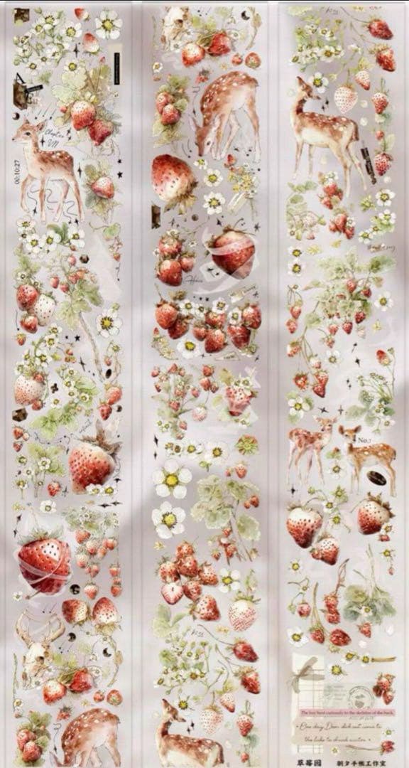 セール114 海外 PETテープ マスキングテープ