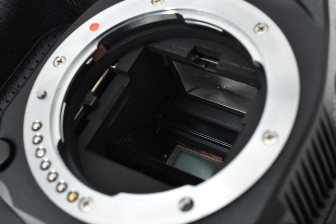 【シャッターOK】ペンタックス K-30 デジタル一眼レフカメラ 現状品 カメラ