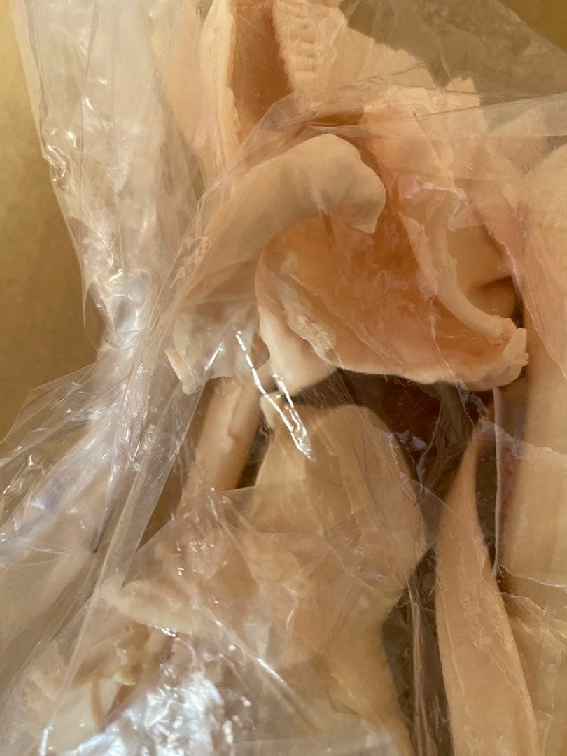 紡路本舗 綾波レイ ストリート・ダンスver. ガレージキット エヴァンゲリオン