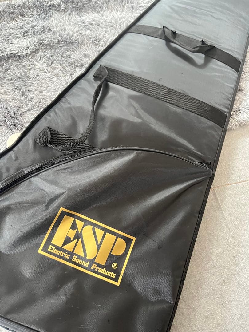 Edwards ギター（ビッグボス購入品）