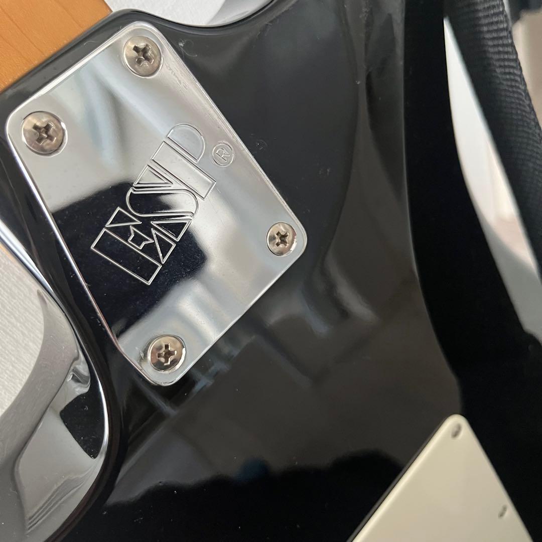 Edwards ギター（ビッグボス購入品）