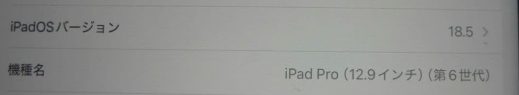 iPad Pro 12.9 (第6世代)256GB 社外Pencil付(交渉可)