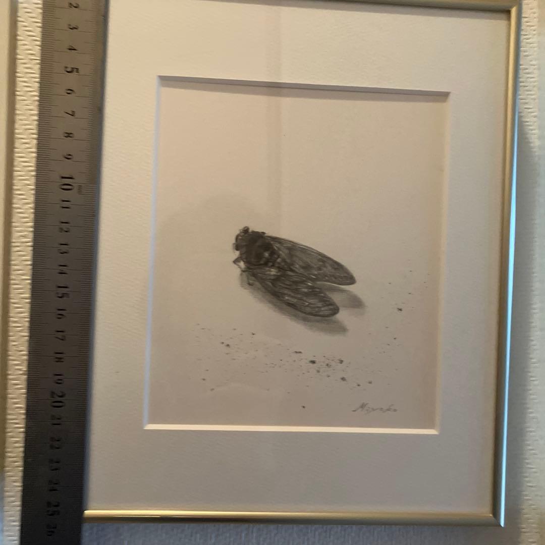 セミの鉛筆画 A4サイズ 艶消しゴールド額装