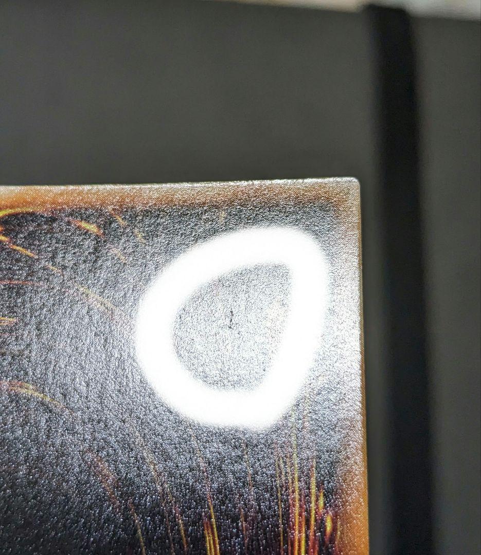 tynです。　ホーリーナイトドラゴン、初期、シク