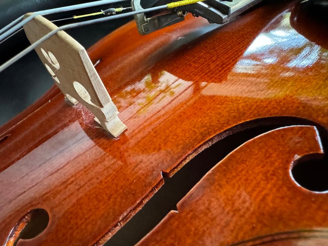Vivienne⚠️バイオリン4/4 カールヘフナー　KH２０２