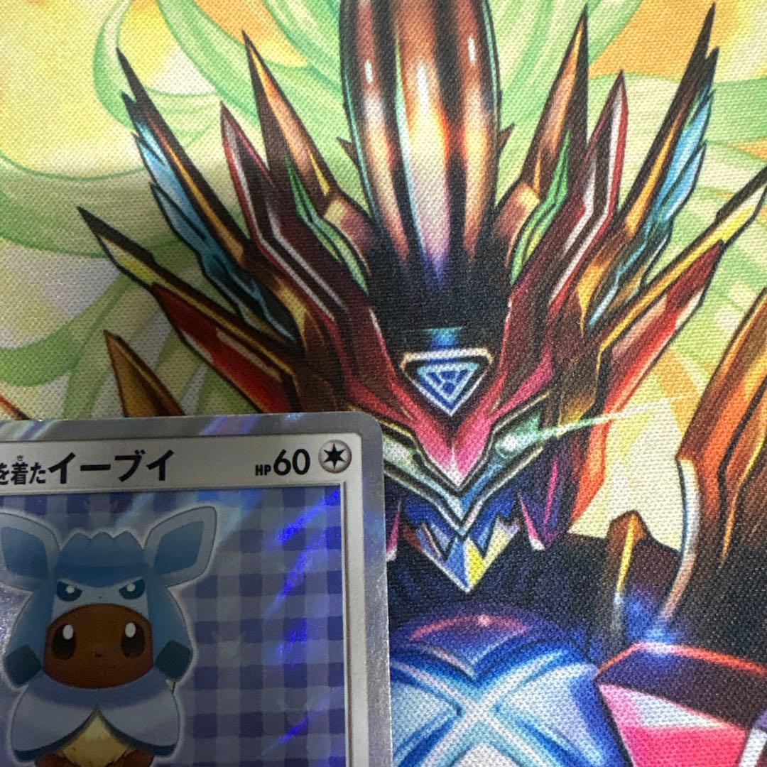 ポンチョを着たイーブイ グレイシア