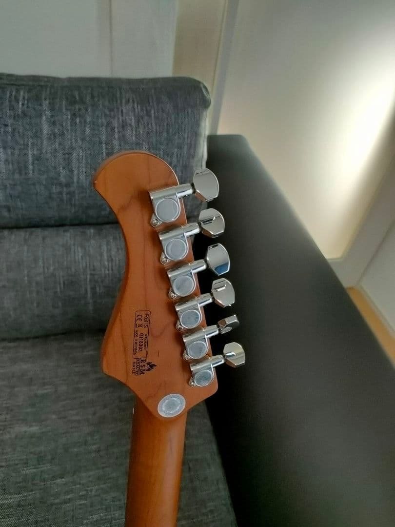 今年1月購入　試奏だけ　Bacchus　WINDY-BREAKER/RSM