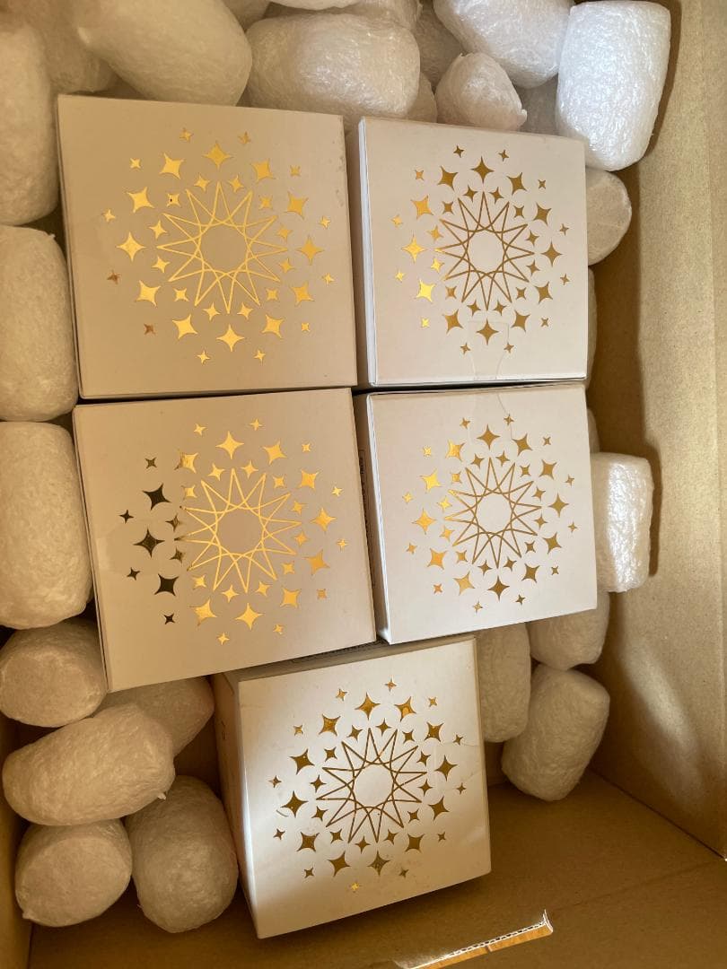 珠肌ランシェル 5箱セット 新品・未開封 お得なまとめ売り