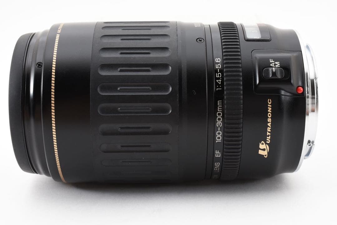 超望遠レンズ/ Canon EF 100-300mm F4.5-5.6 USM