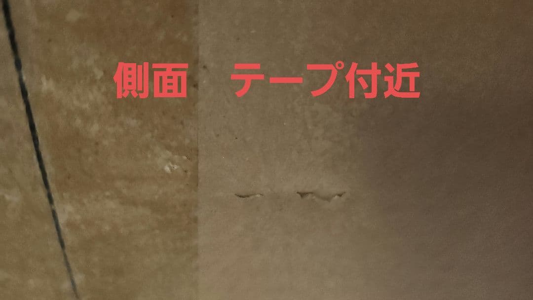 【値下げ中】【未使用未開封】ポケモン　ぬいぐるみ　等身大サーナイト