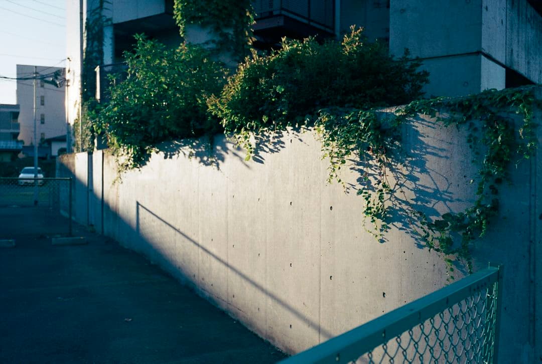 Zeiss C Biogon T* 2.8/35 ZM（シルバー）