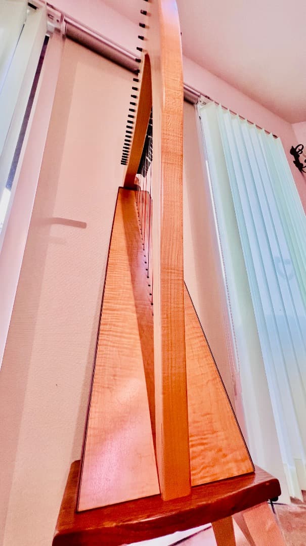 Dusty Strings FH26 アイリッシュハープ 状態良好 送料込！