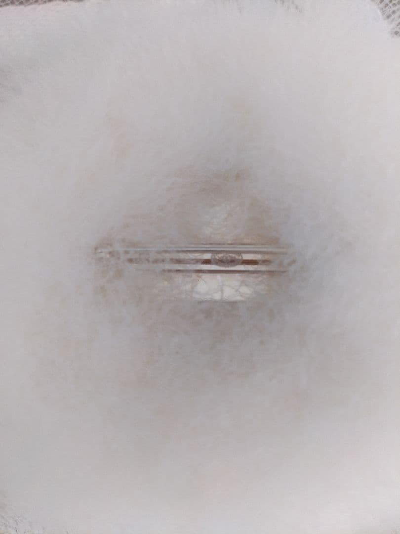 レア★CHANELシャネル★ファー＆リボン&パールココマークブローチ白ホワイト