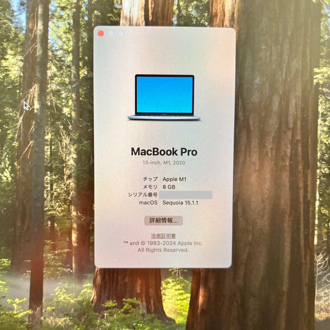 だ*き様 【早い者勝ち&おまけ付き】Apple MacBook Pro M1 2