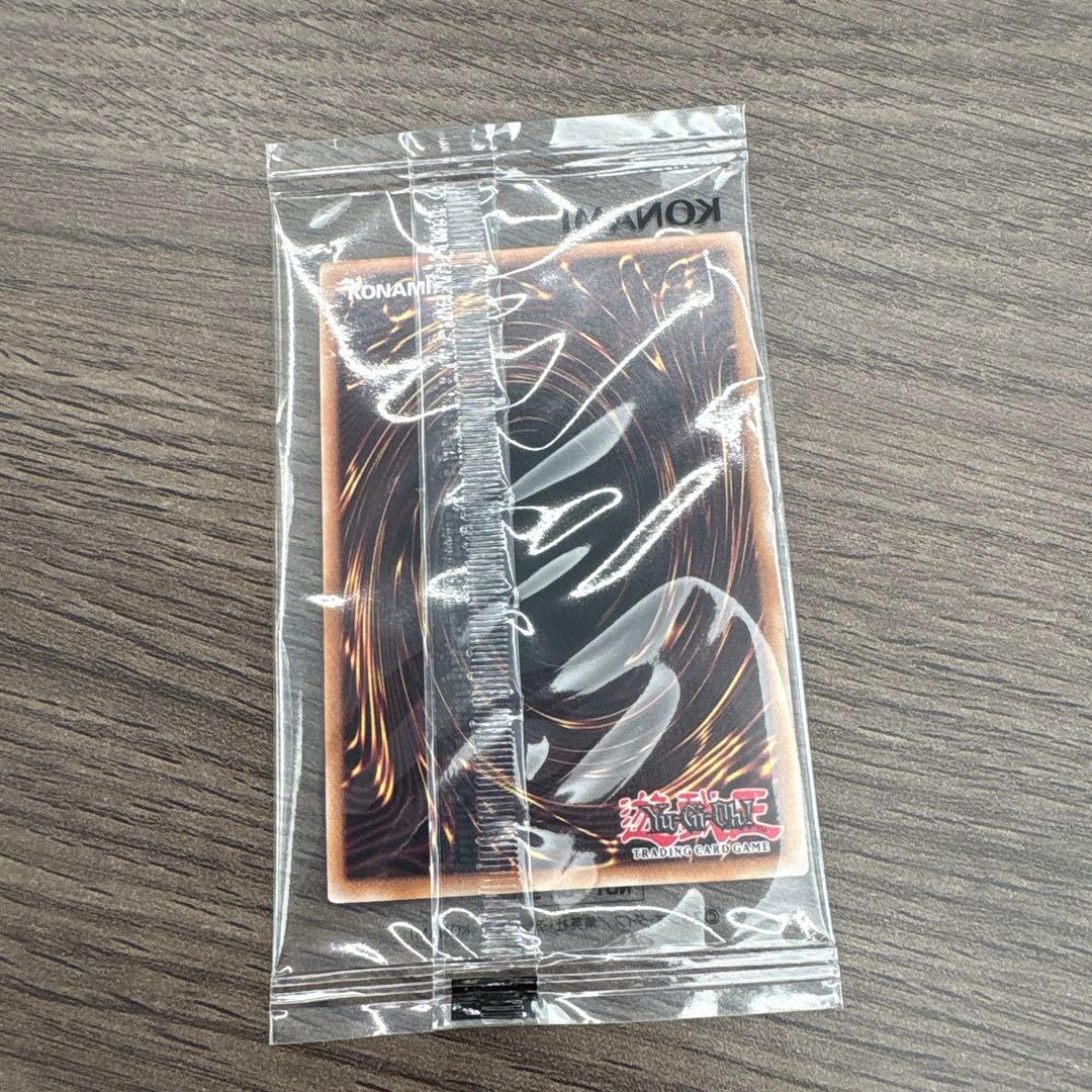 遊戯王OCG デュエルモンスターズ Dragon of Illumination,Sanctuary'sShield