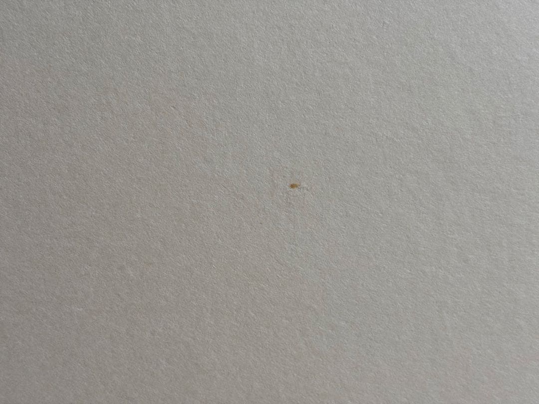 向蝶 枠付 風炉先屏風 茶道具