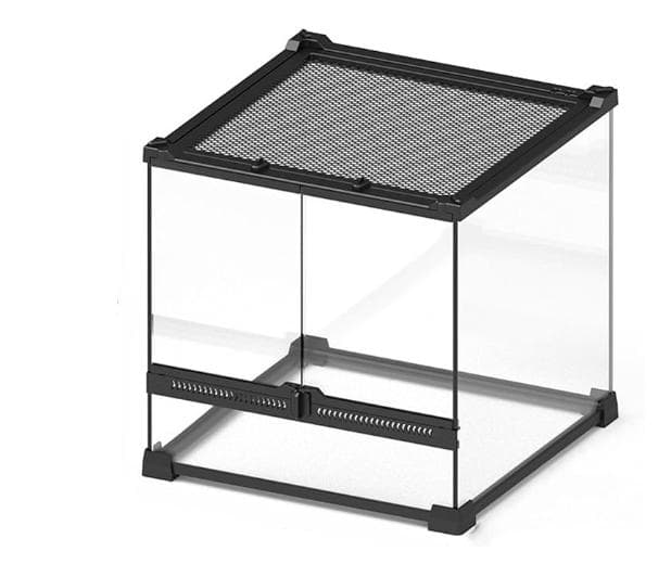 【受注生産】イモリウムグラステラリウム3030　苔テラリウム　アクアテラリウム