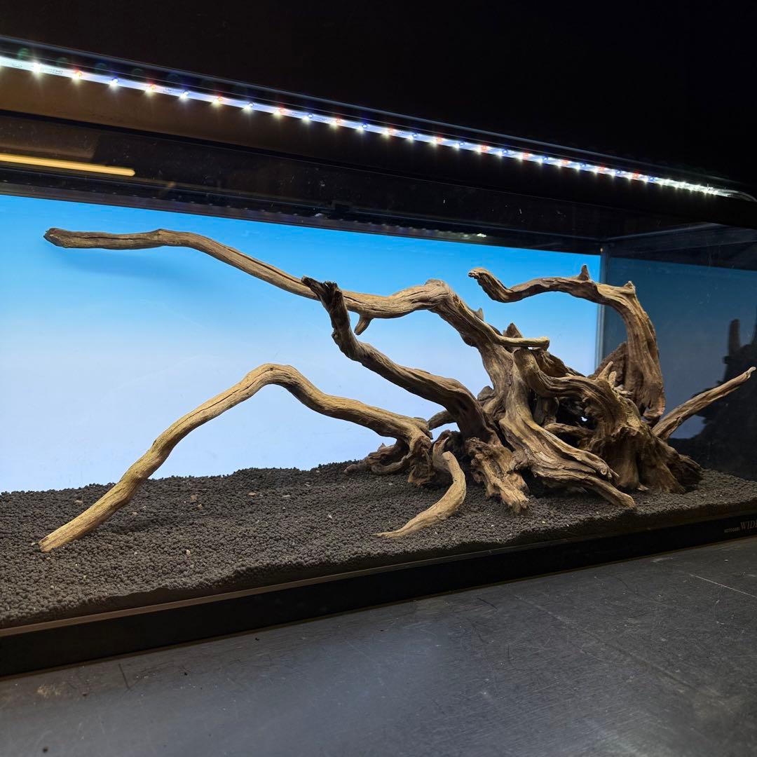MSRW-6926 天然流木レイアウトセット　スリムウッド　アクアリウム