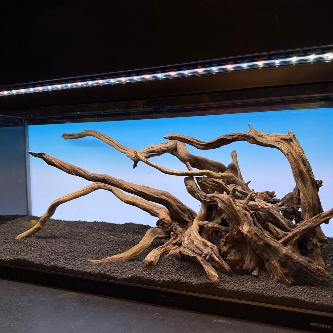 MSRW-6926 天然流木レイアウトセット　スリムウッド　アクアリウム