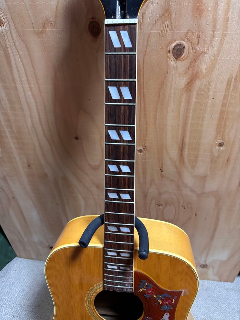 Kiso Suzuki ギブソンDoveタイプW-65DA キルトメイプル