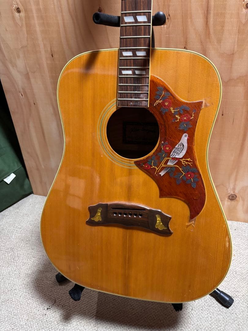 Kiso Suzuki ギブソンDoveタイプW-65DA キルトメイプル