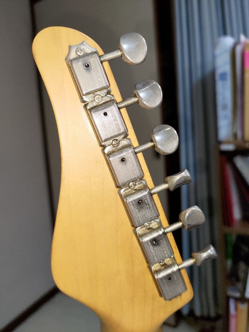 シェクター　ギター　　希少1本のみ