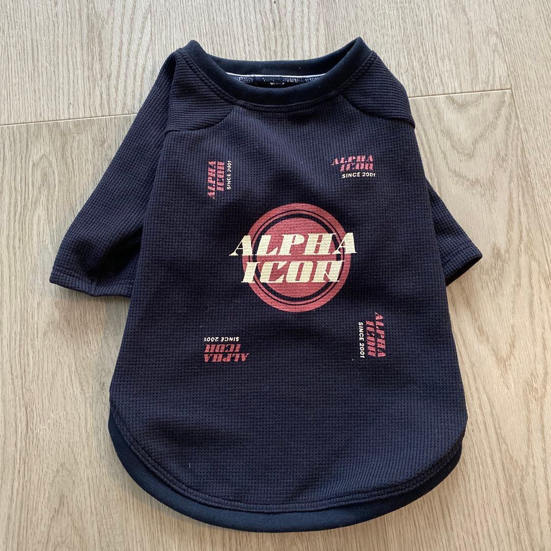 アルファアイコン ドライニットティー