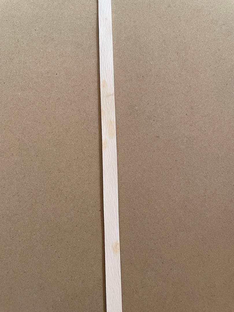 いぬのキャンバスイラスト