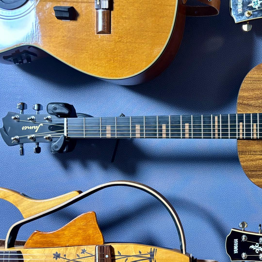【美品】James アコースティックギターJ-100A MHT ギグケース付属