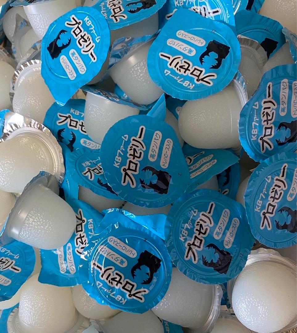 国産プロゼリー15000個KBファーム・カブトムシ　クワガタ 【木ぼく】