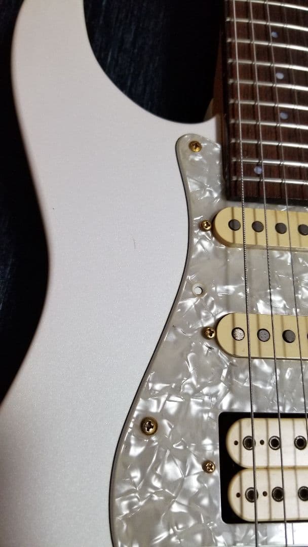 FERNANDES LA-80kk L'Arc-En-Ciel.Gotoh ペグ