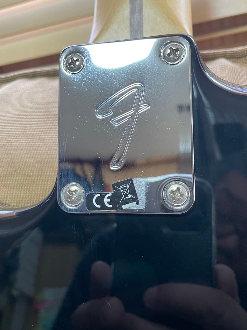 Fender Stratocaster ブラック　PLAYER STRAT MX