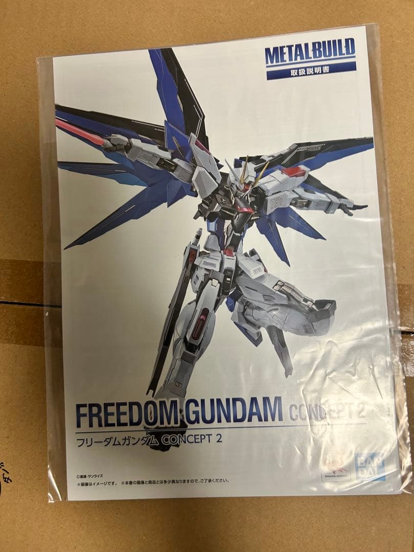 メタルビルド フリーダムガンダム concept2