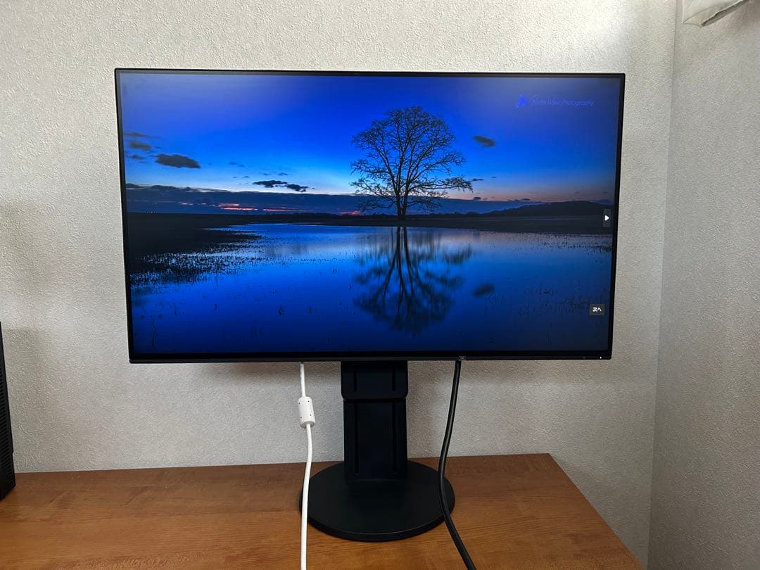 EIZO FlexScan EV2451 23.8インチモニター 6153h