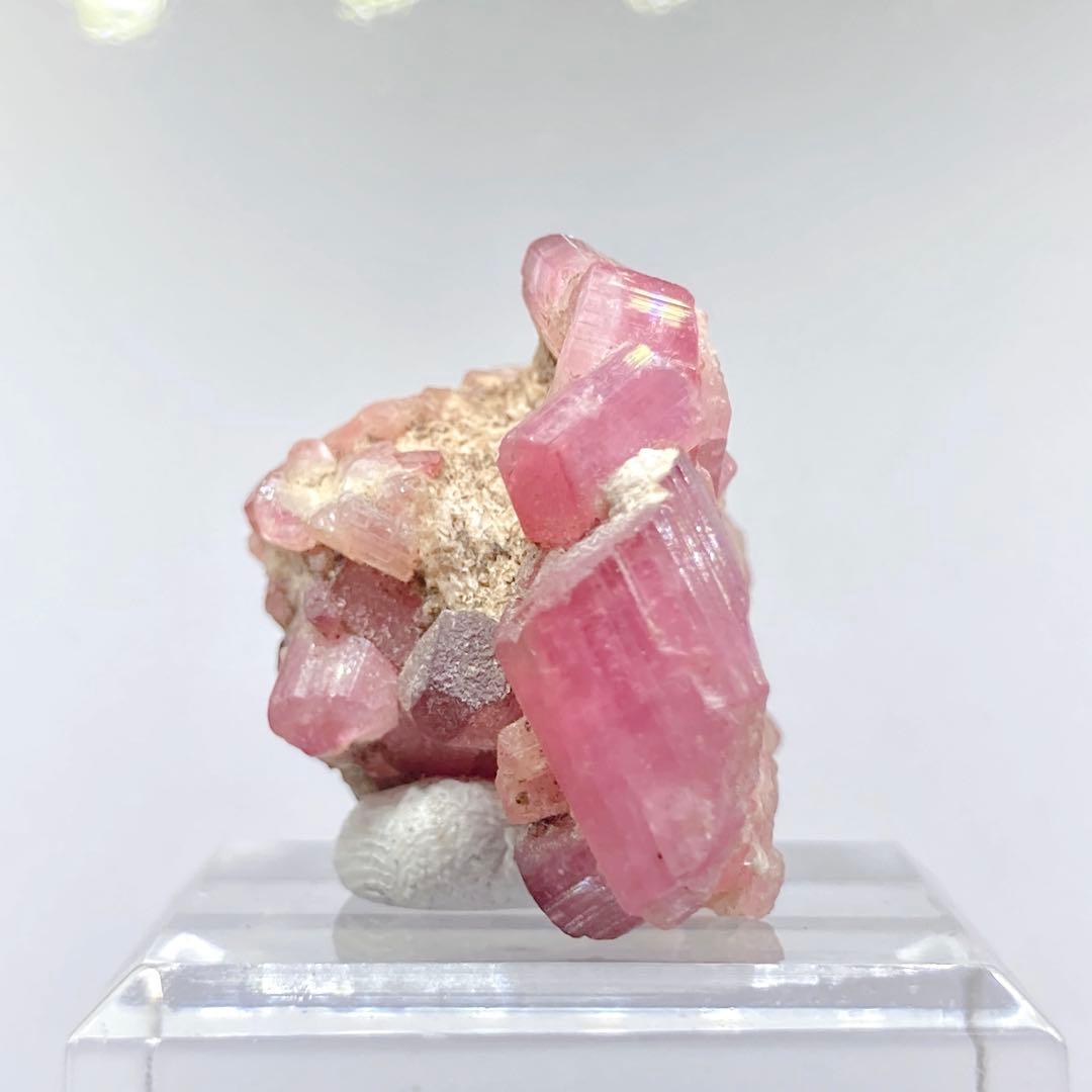 G*G様 『ルベライト』　トルマリン　原石　鉱物標本　天然石　831