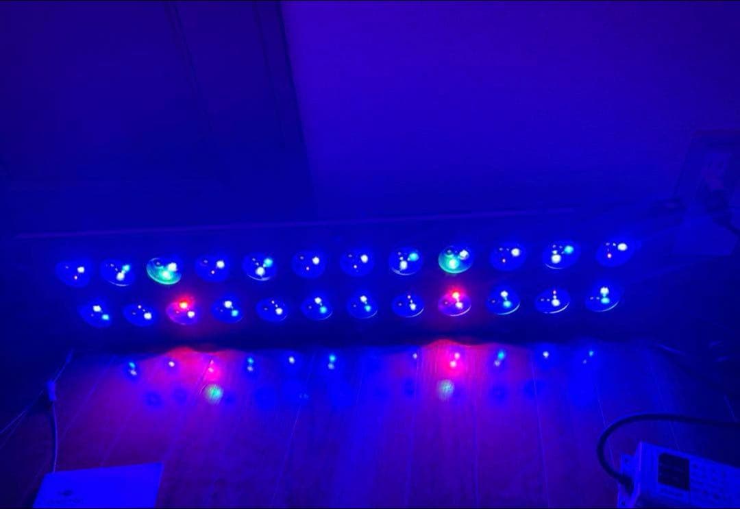 ZOOX　レブロン60 サンゴ用海水用