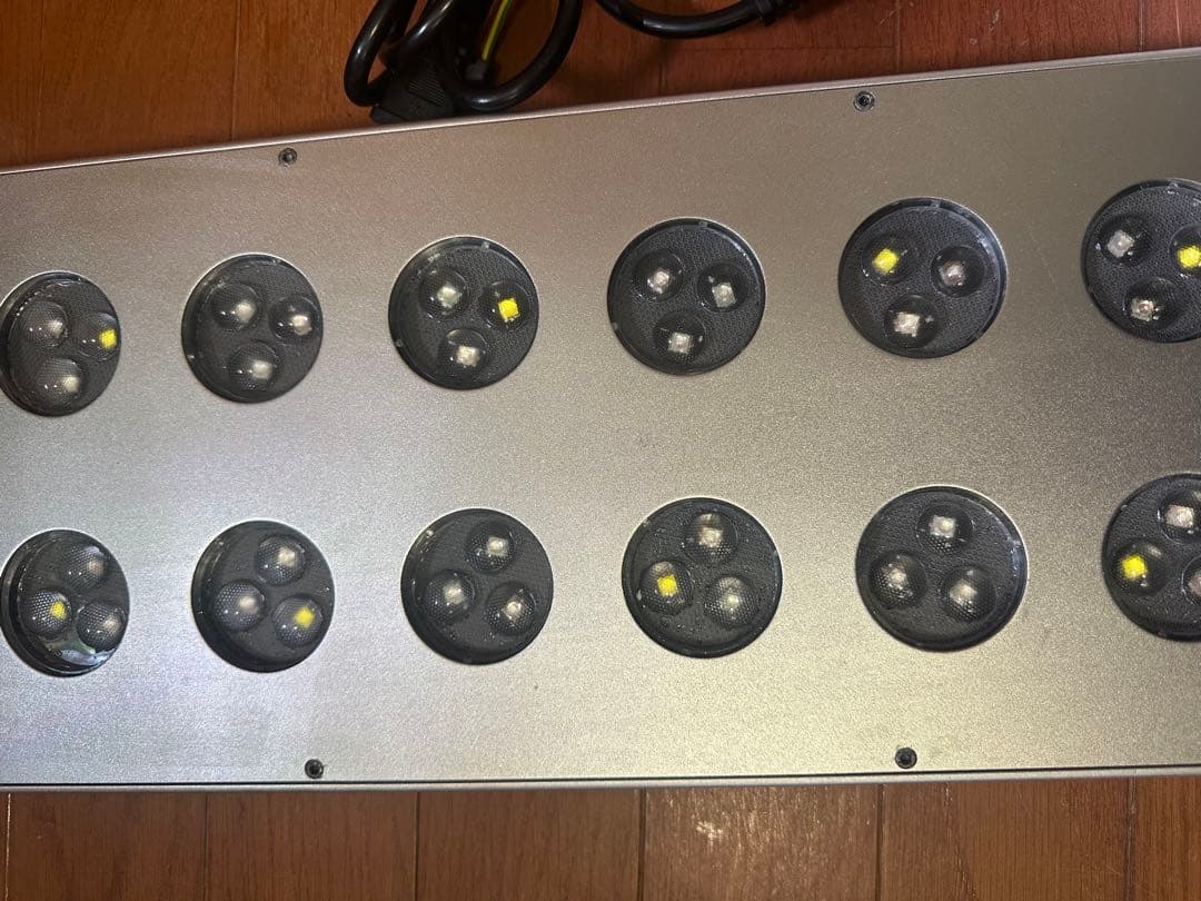 ZOOX　レブロン60 サンゴ用海水用