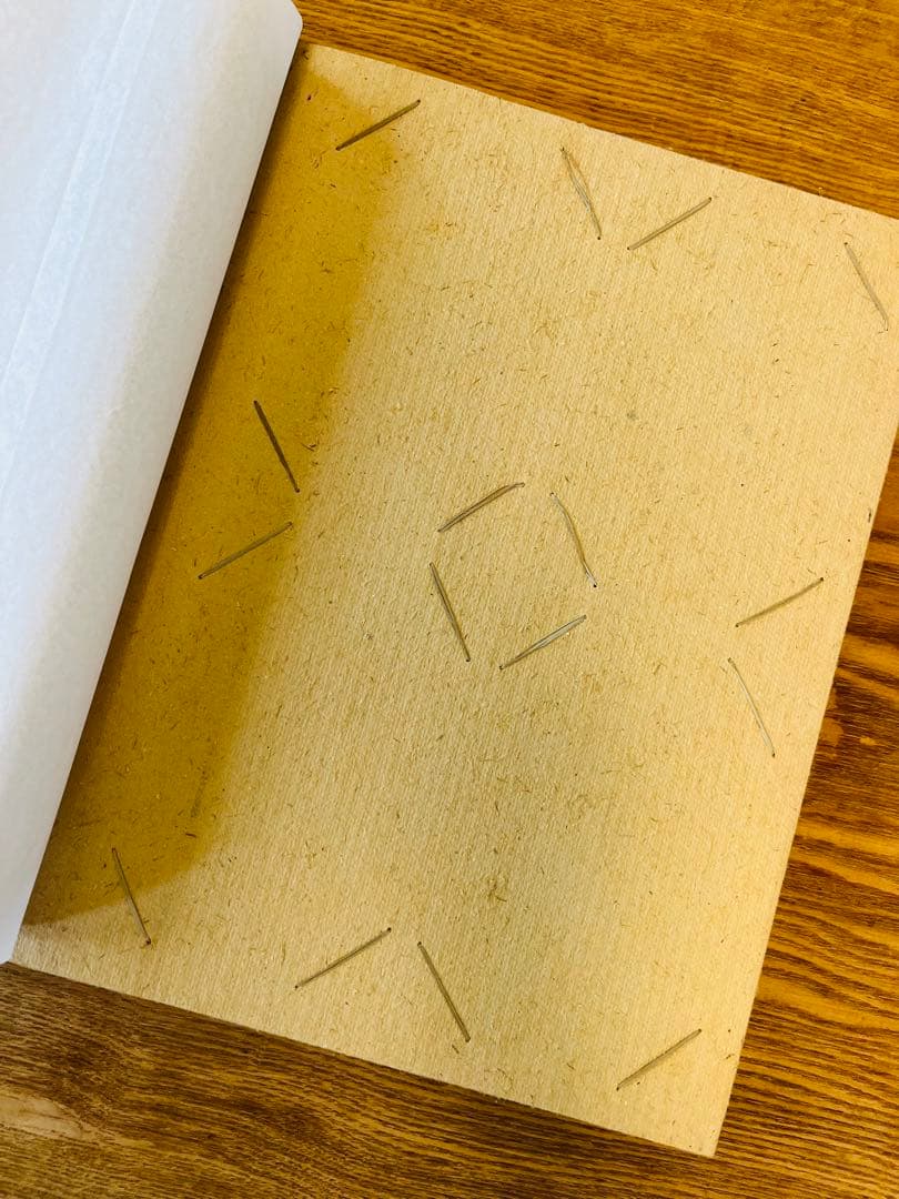 ★Hawaiian自然素材アルバム激レア★