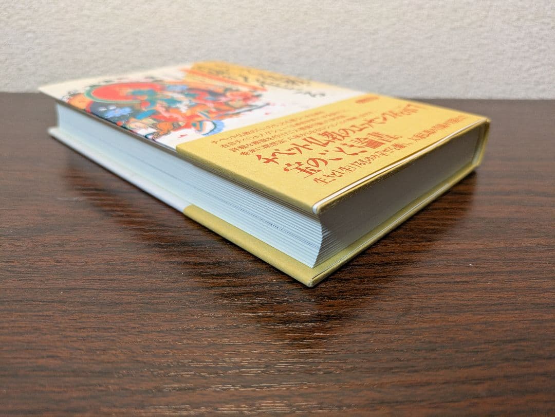 チベット仏教・菩薩行を生きる : 精読・シャーンティデーヴァ『入菩薩行論』初版