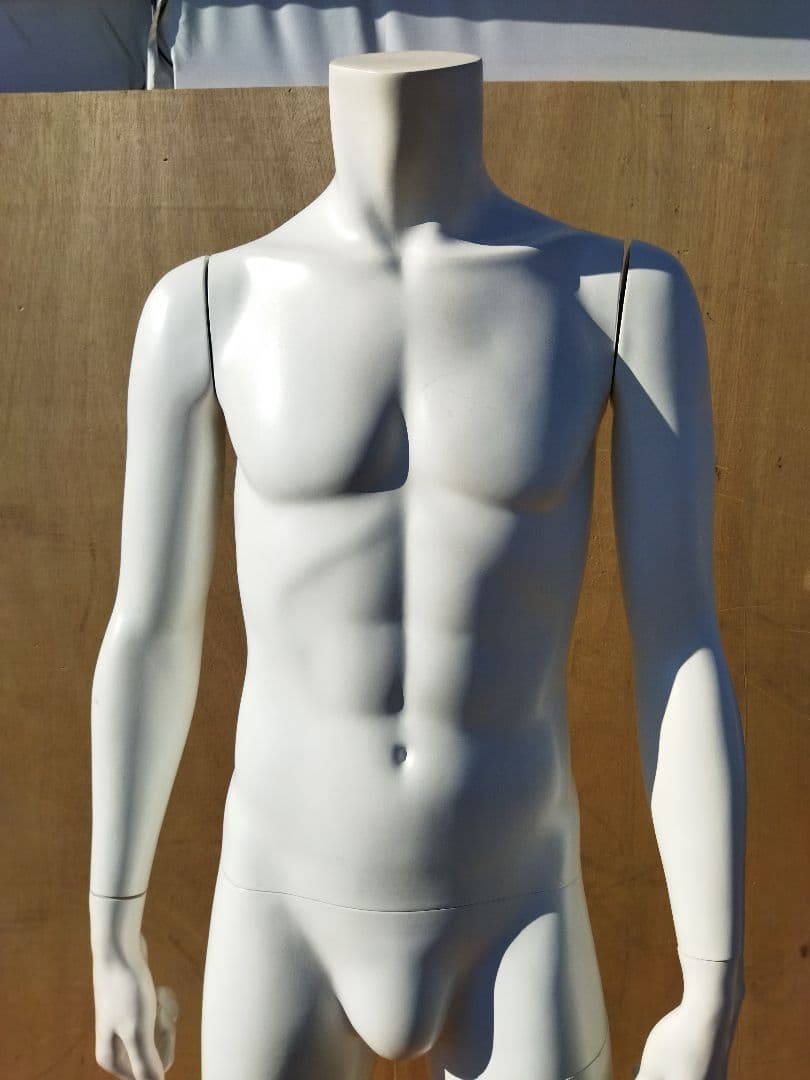 男性用マネキン トルソー 約50×43×H170cm　人形　等身大