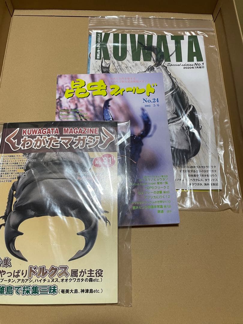 ビークワセット　他