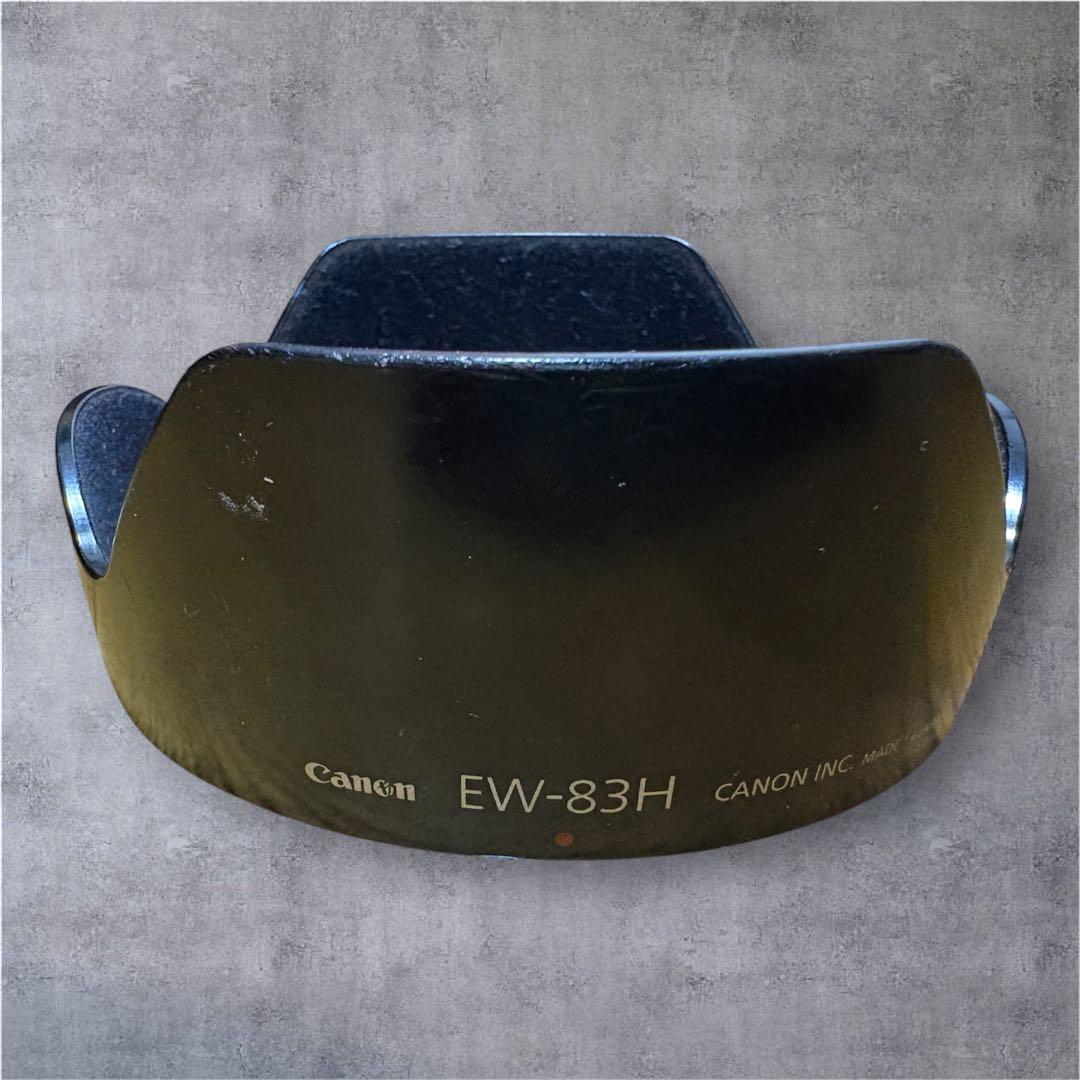 レンズ(ズーム) Canon EF 17-40mm f/4L USM