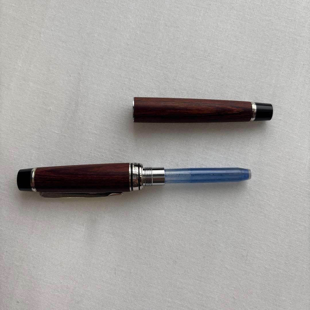 PILOT LEGNO 89s 万年筆 M 14K