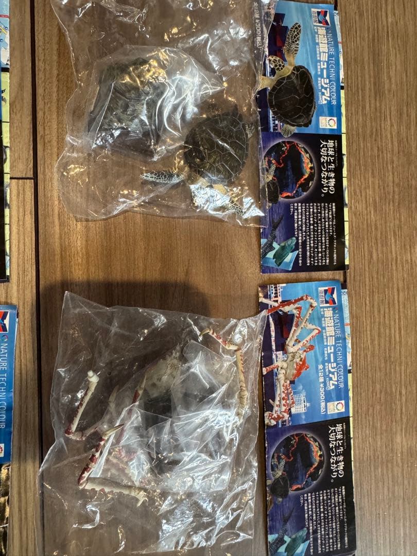 海遊館　ネイチャーテクニカラー　未開封　11種類